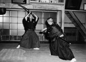shinkenshiraha2